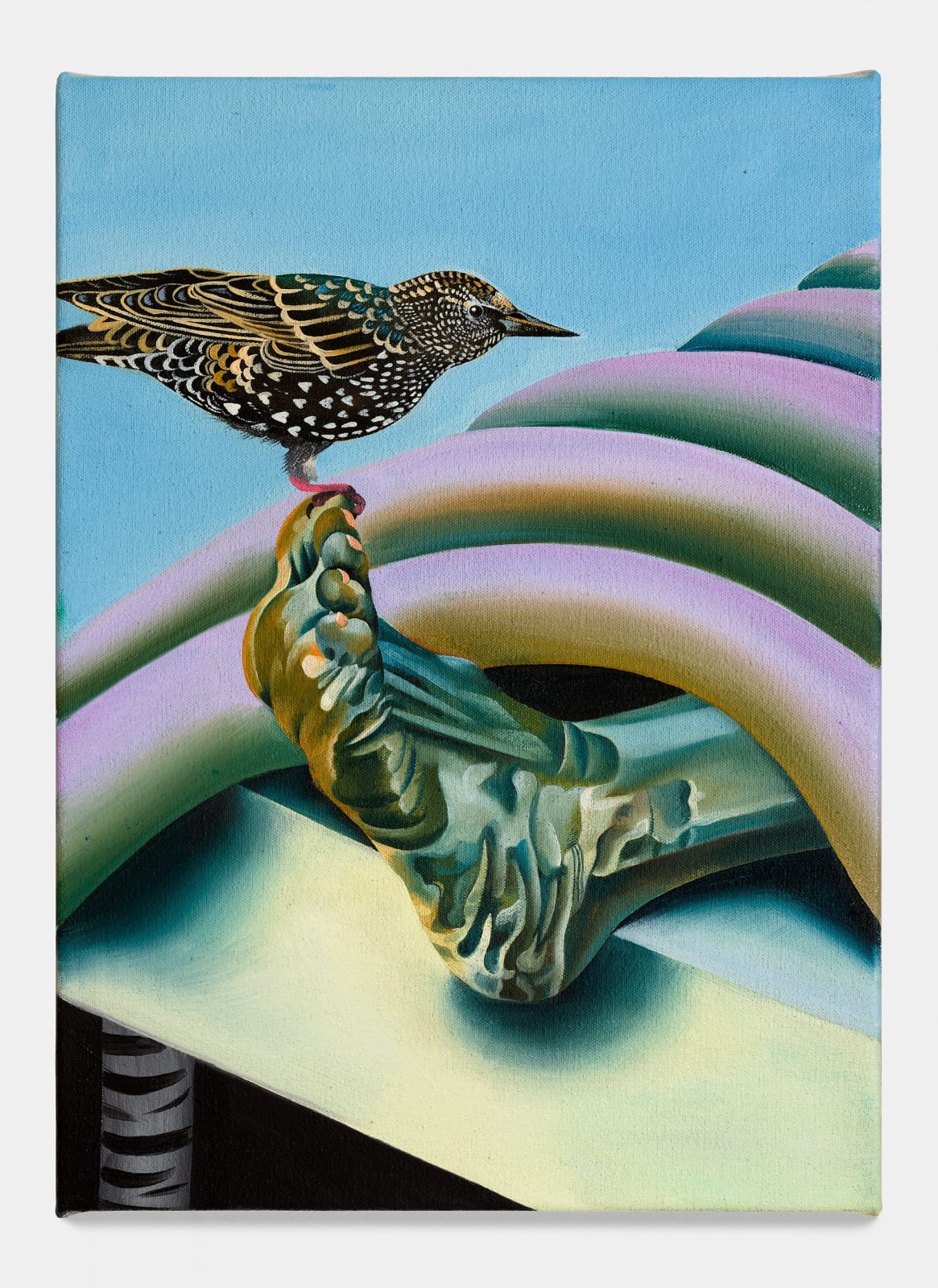 Jessie Makinson, I know that bird, 2022