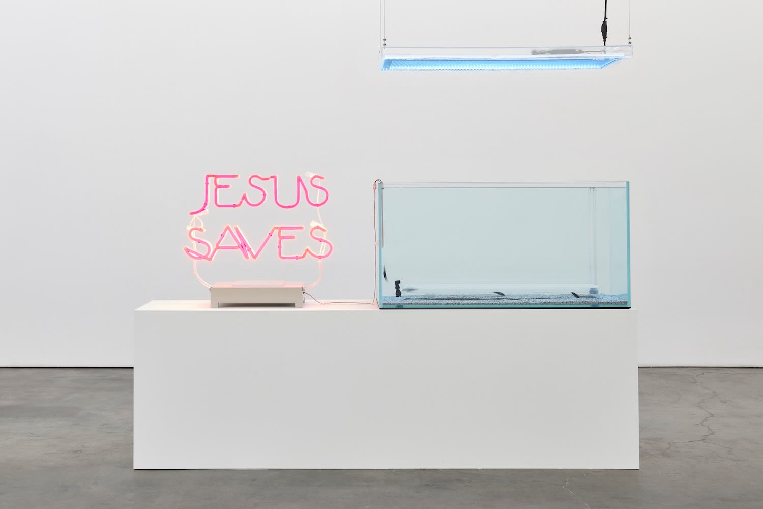 Max Hooper Schneider, DIALECTRIX: DIVISION APTERONOTUS (JESUS SAVES), 2020