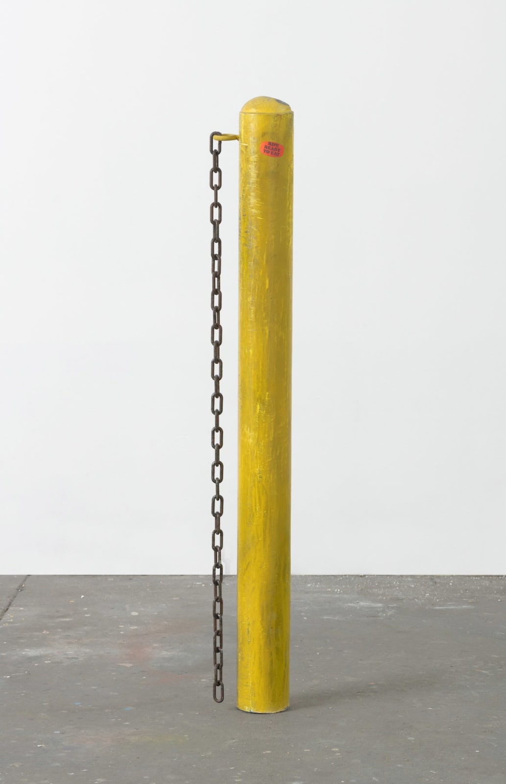 Sayre Gomez, Senior Regional Manager, 2019