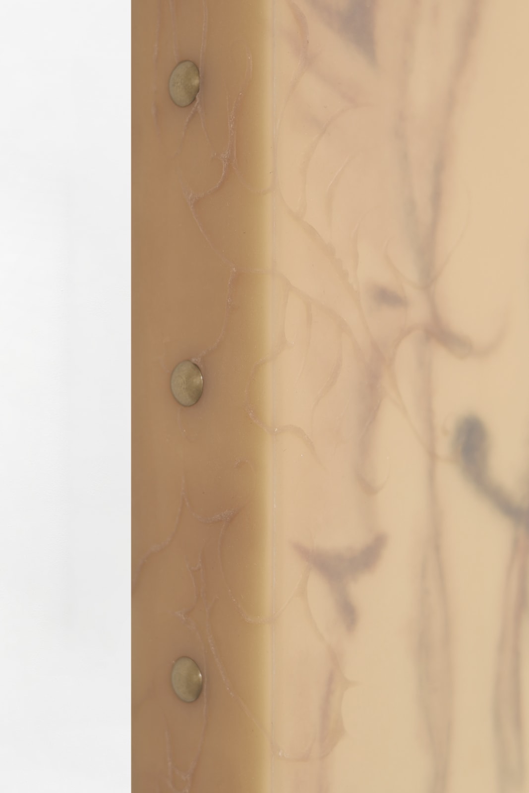 ASMA, Sangre oxidada y tétanos con cabello mojado, 2023