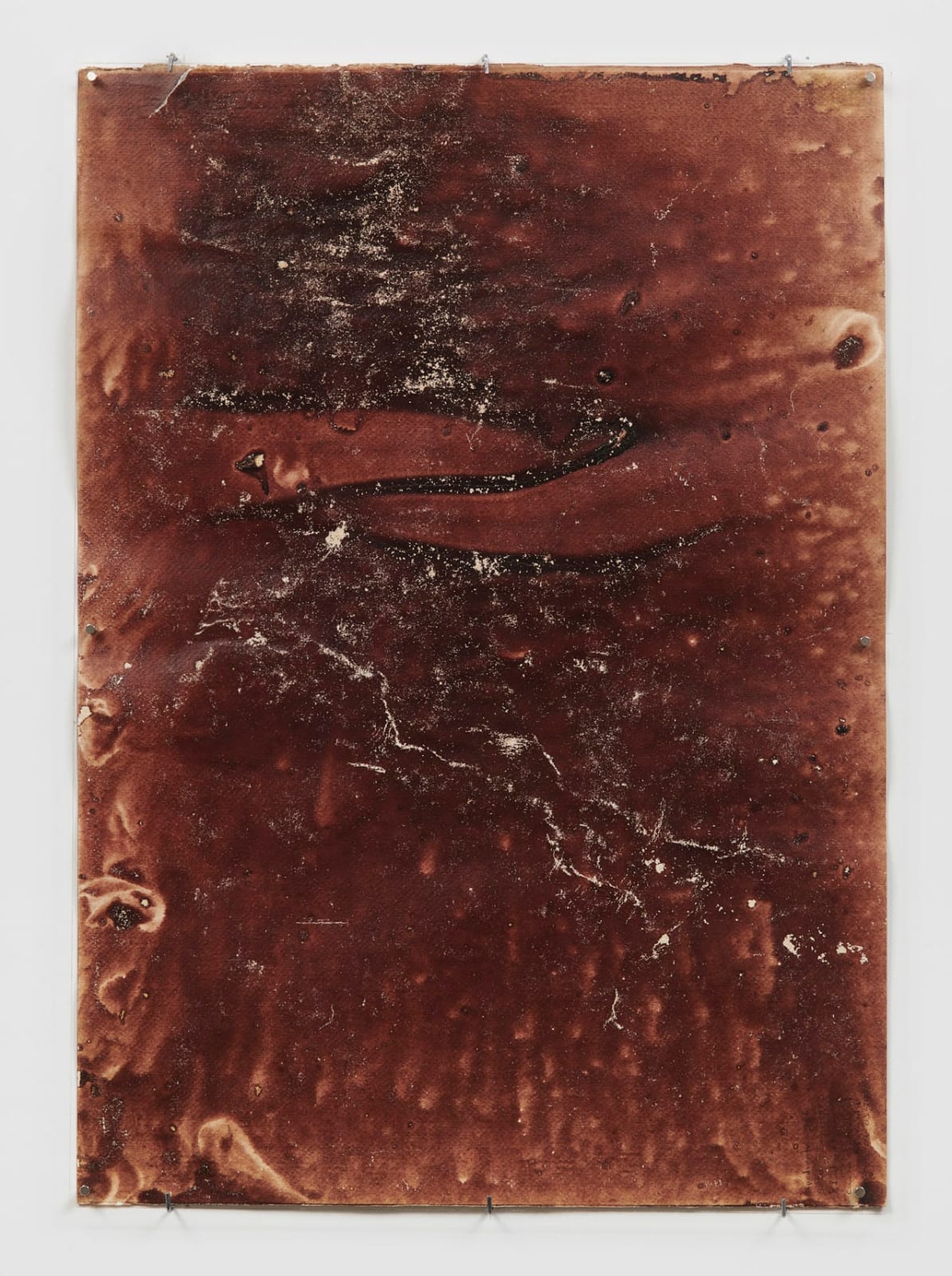 Teresa Margolles, Papeles de la Morgue, 2013