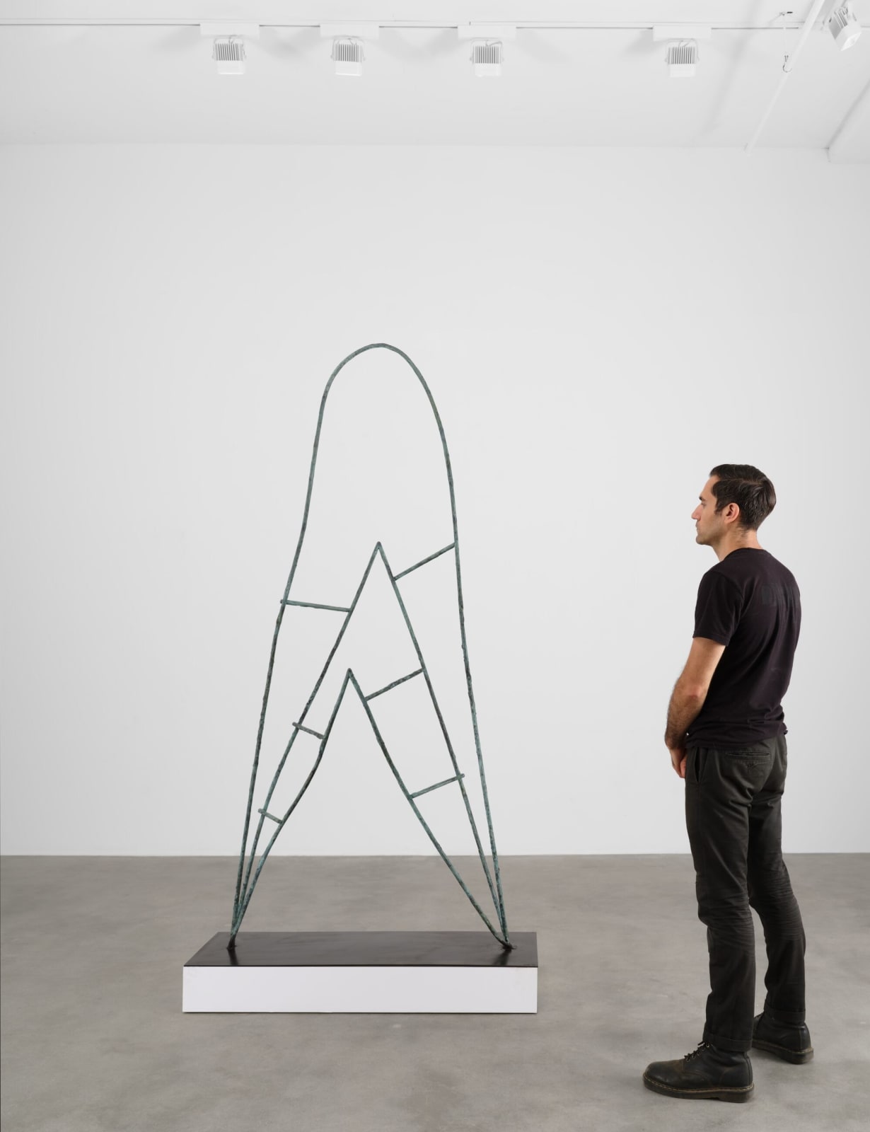 Camille Henrot, Amma's Door, 2014