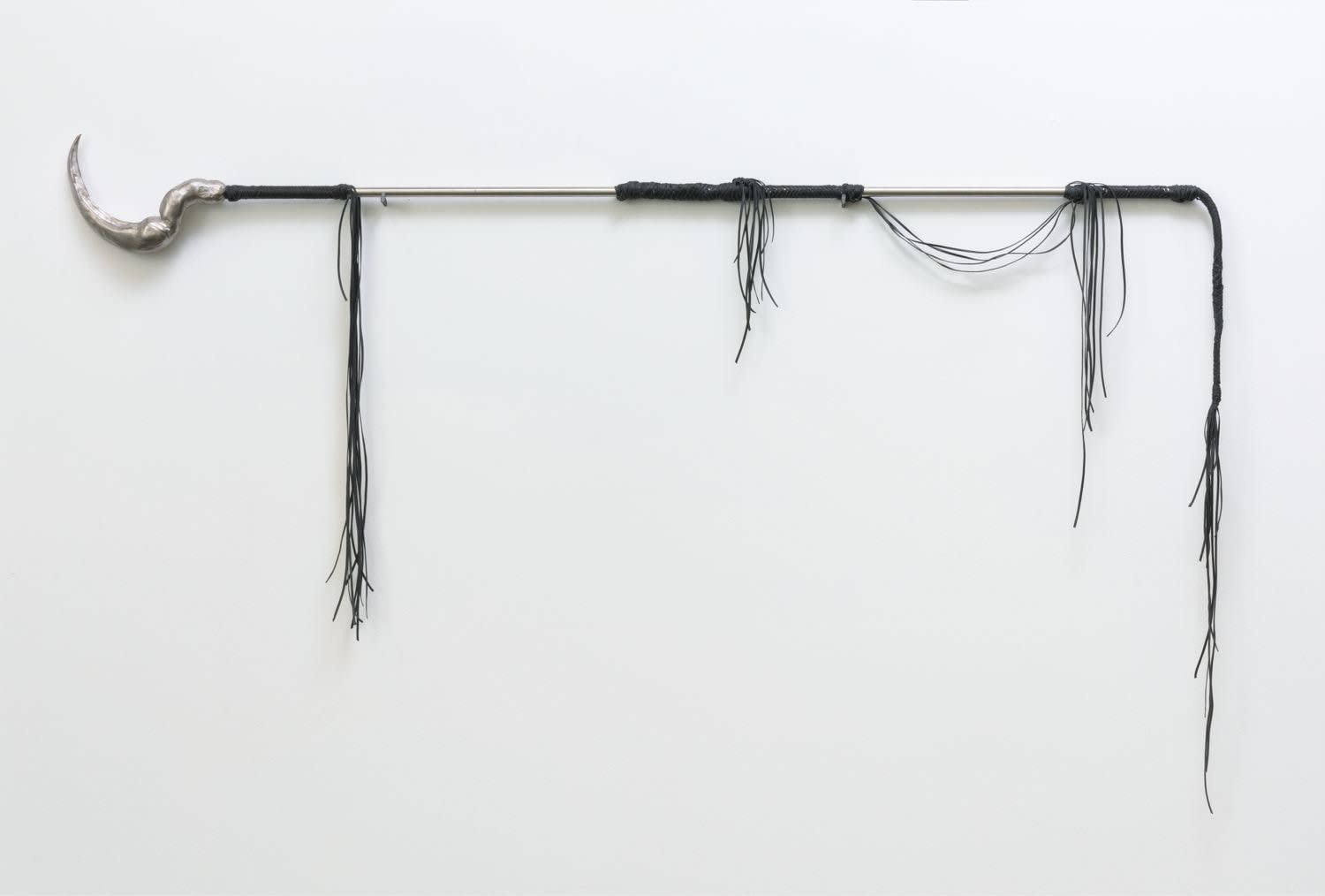 Candice Lin, Coevolution by Traumatic Insemination: Bedbug, 2015