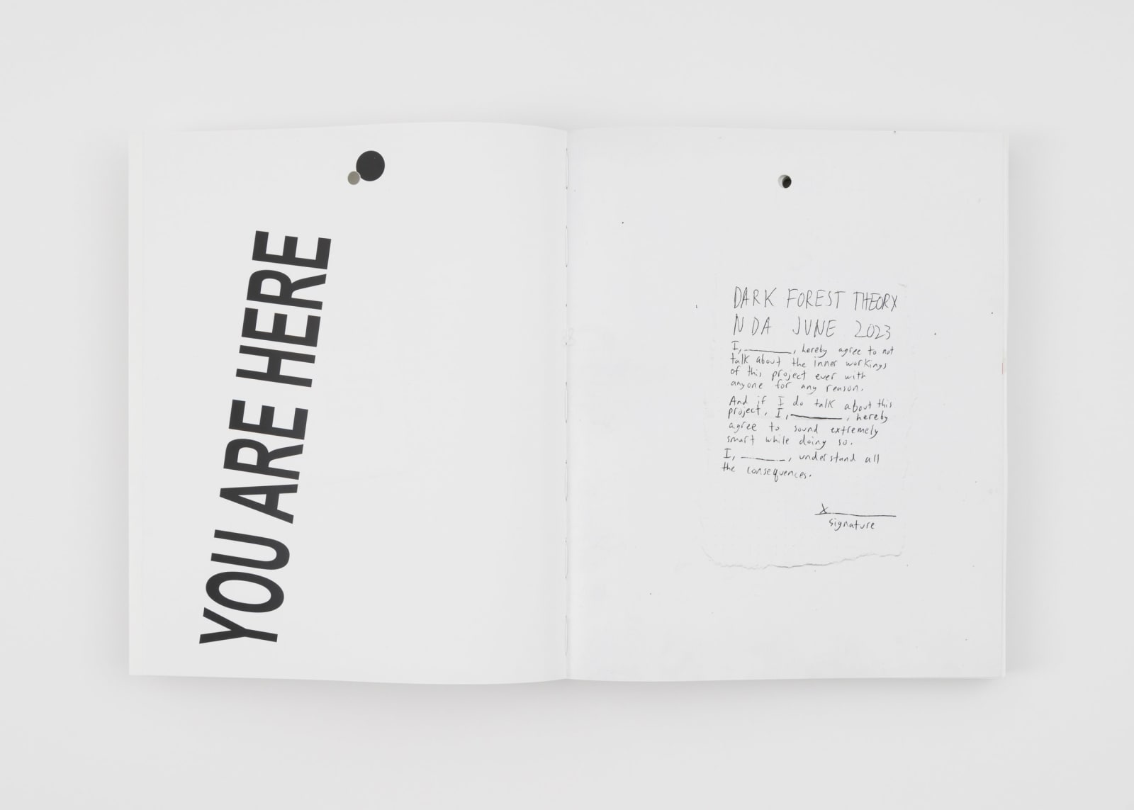 Salim Green, Dark Forest Theory, 2023