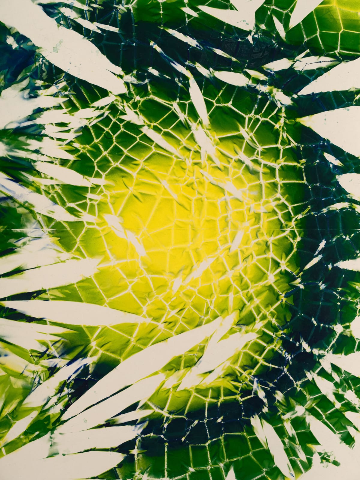 Maia Ruth Lee, B.B.Earth, 2024