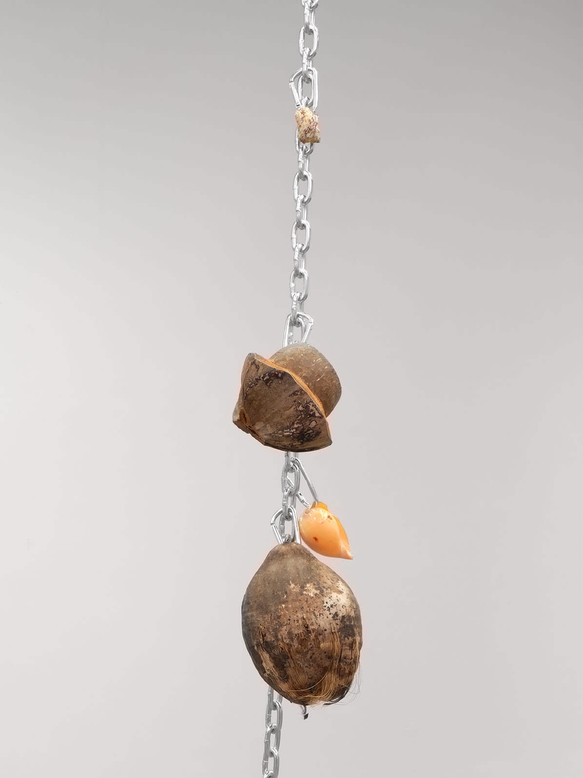 Bony Ramirez, Harvest #1 (Conch), 2022