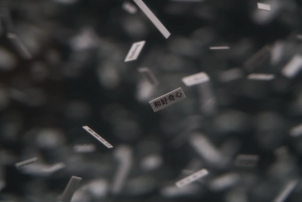 Max Hooper Schneider, Snow of Fortune, 2024