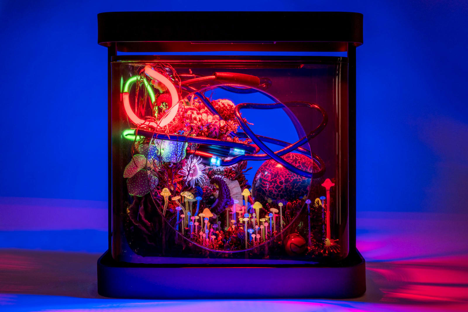 Max Hooper Schneider, UNDERTOW MOON, 2023