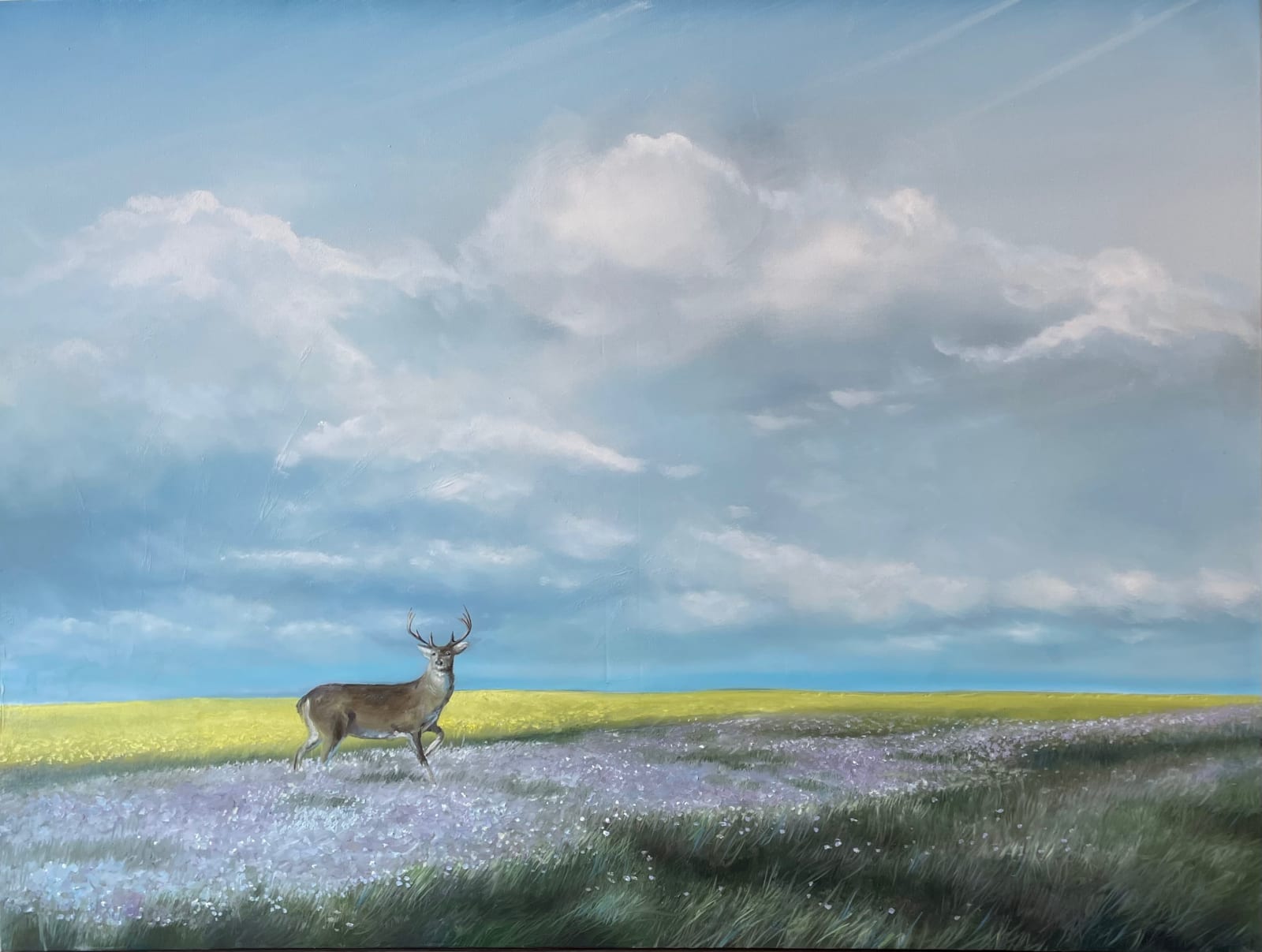 Richard Cole, Grace Land