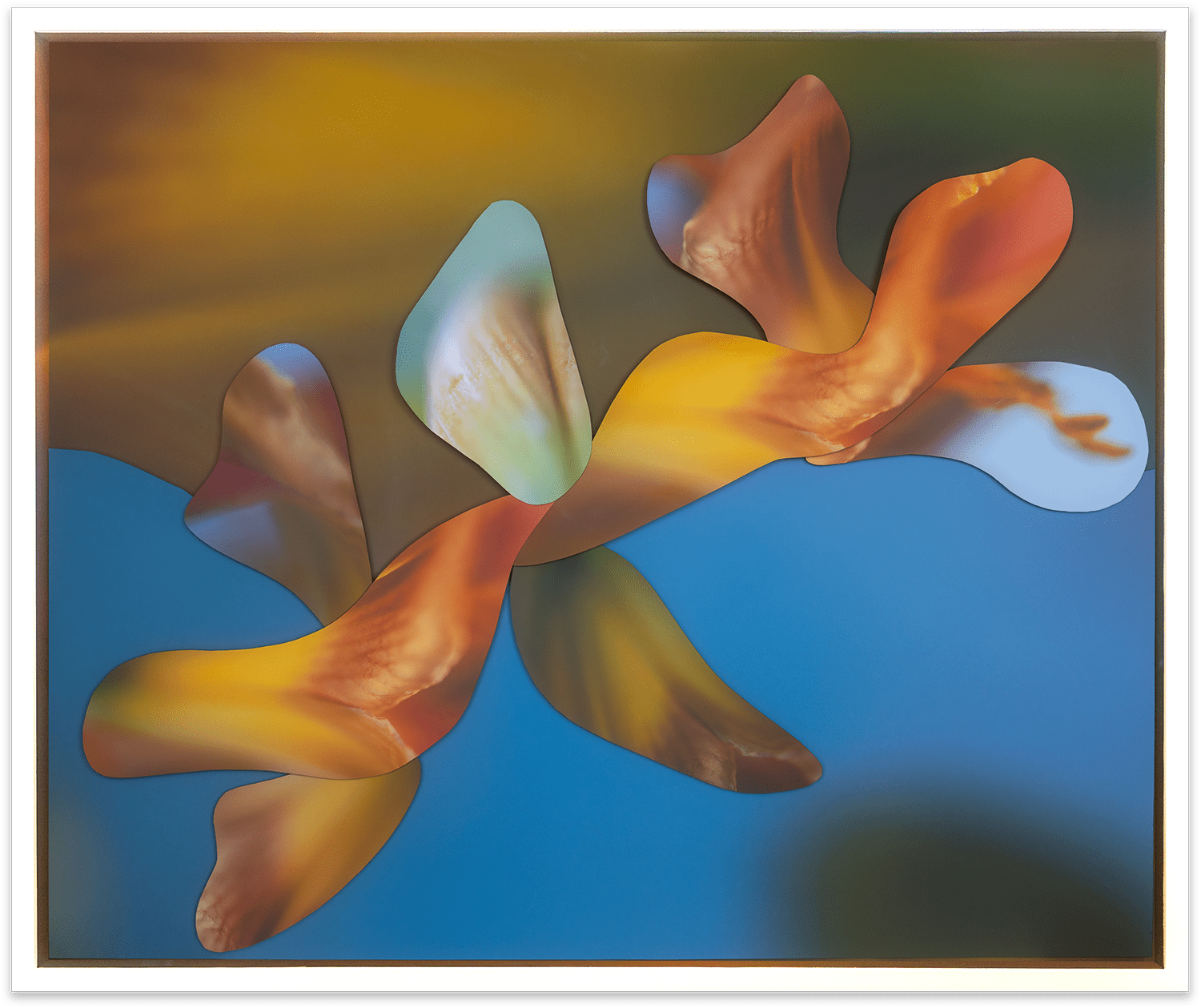 Maria Munar, LilyWander