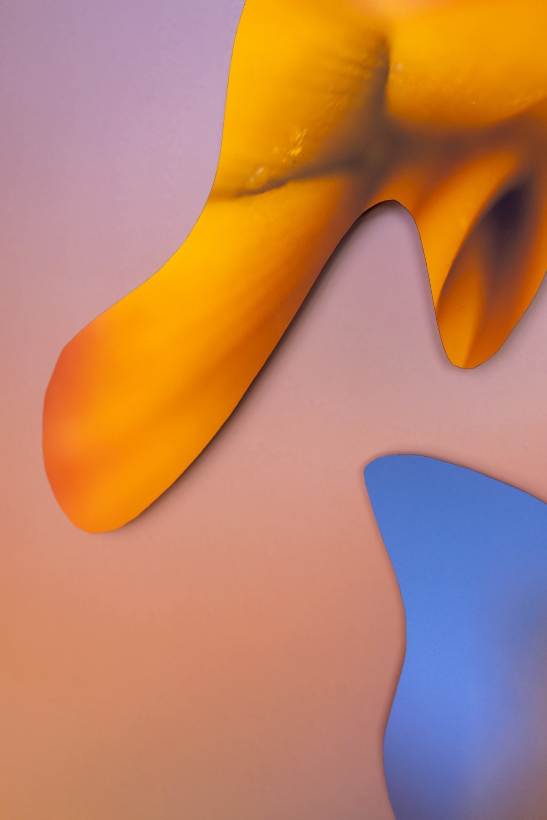 Maria Munar, Embodied Waves