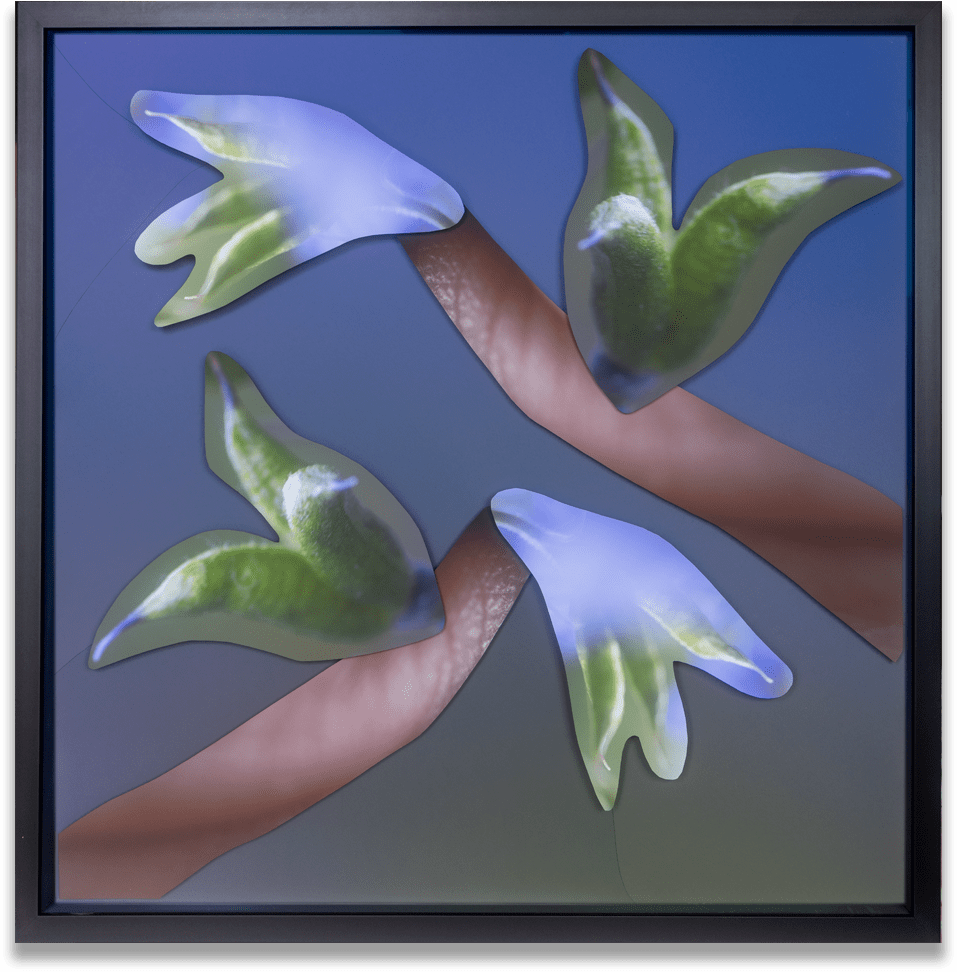 Maria Munar, Grasping Flight