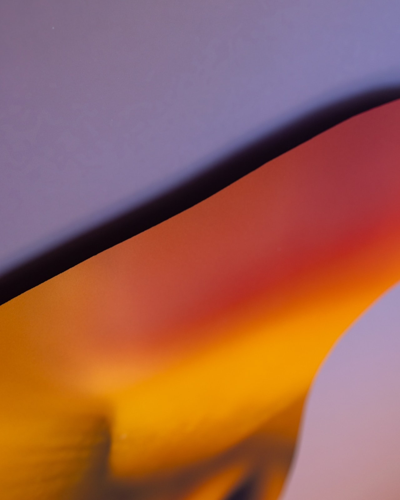 Maria Munar, Embodied Curves