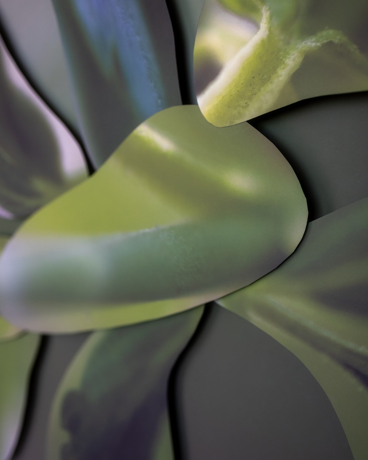 Maria Munar, LeafCrawler