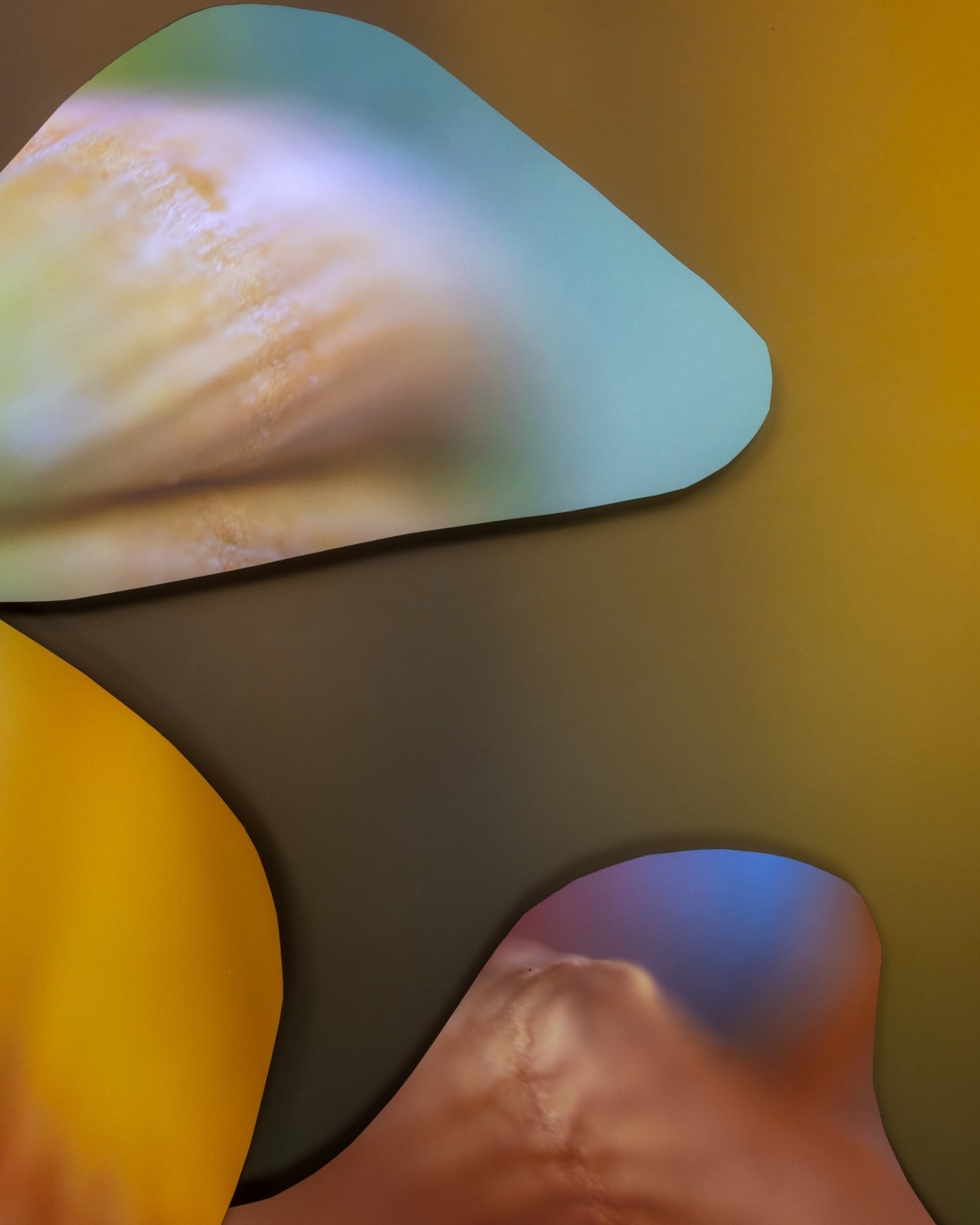 Maria Munar, LilyWander