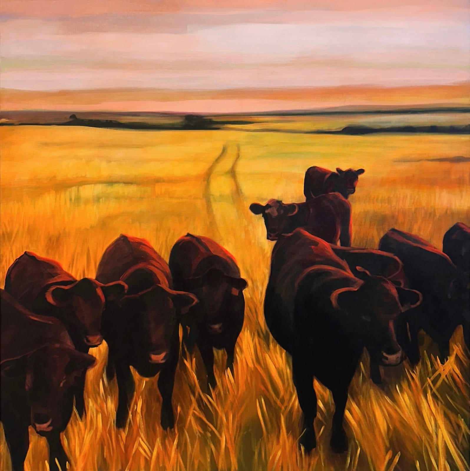 Erin Ross, These aren't our cows