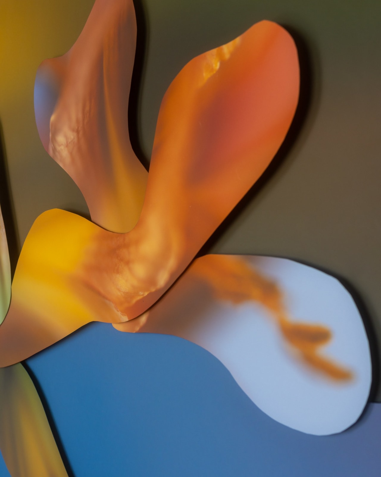 Maria Munar, LilyWander