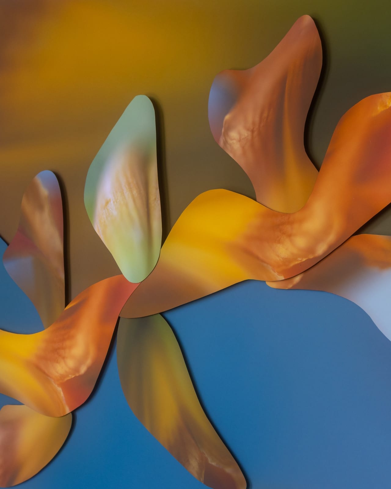 Maria Munar, LilyWander