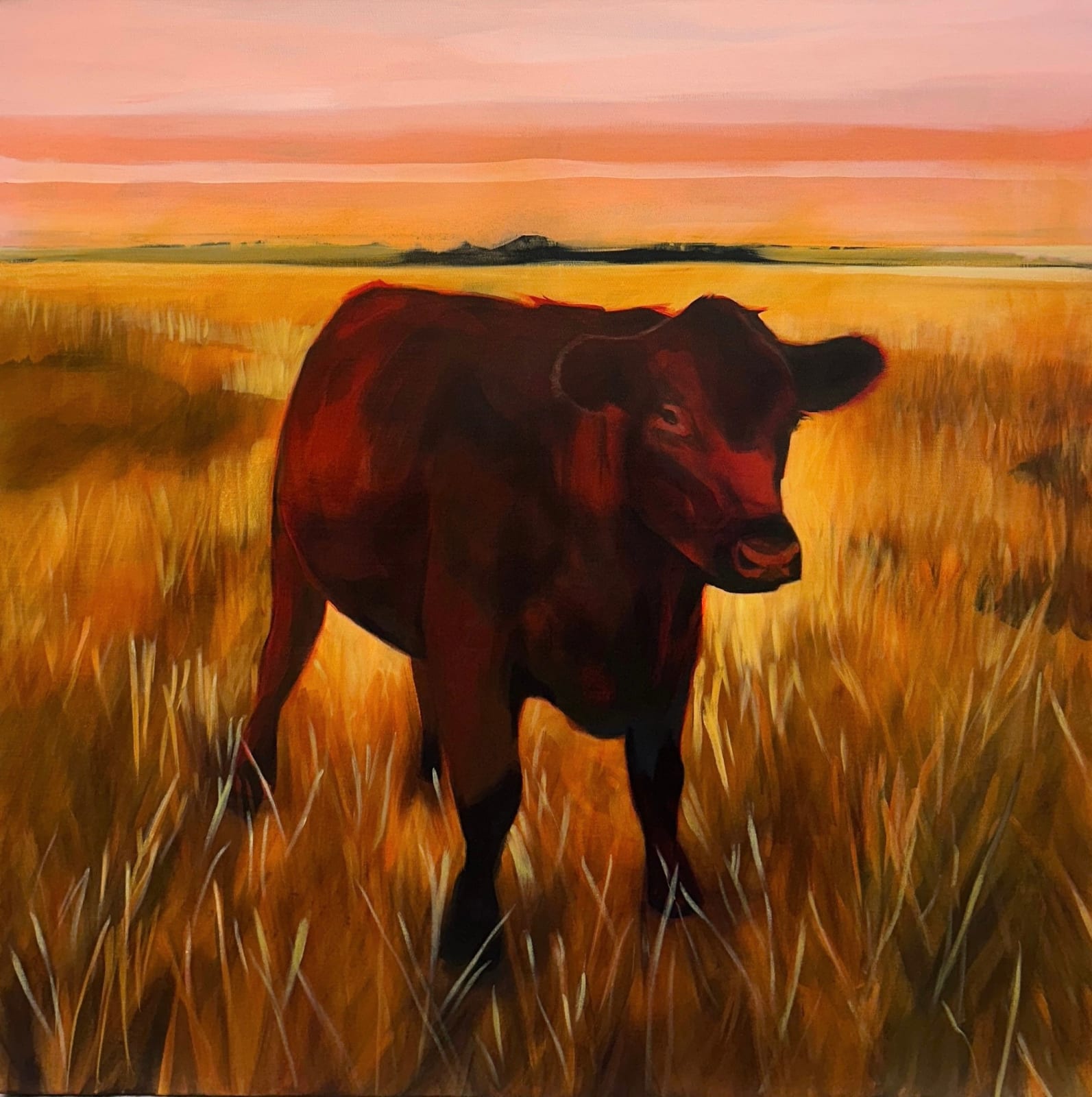 Erin Ross, Little Red