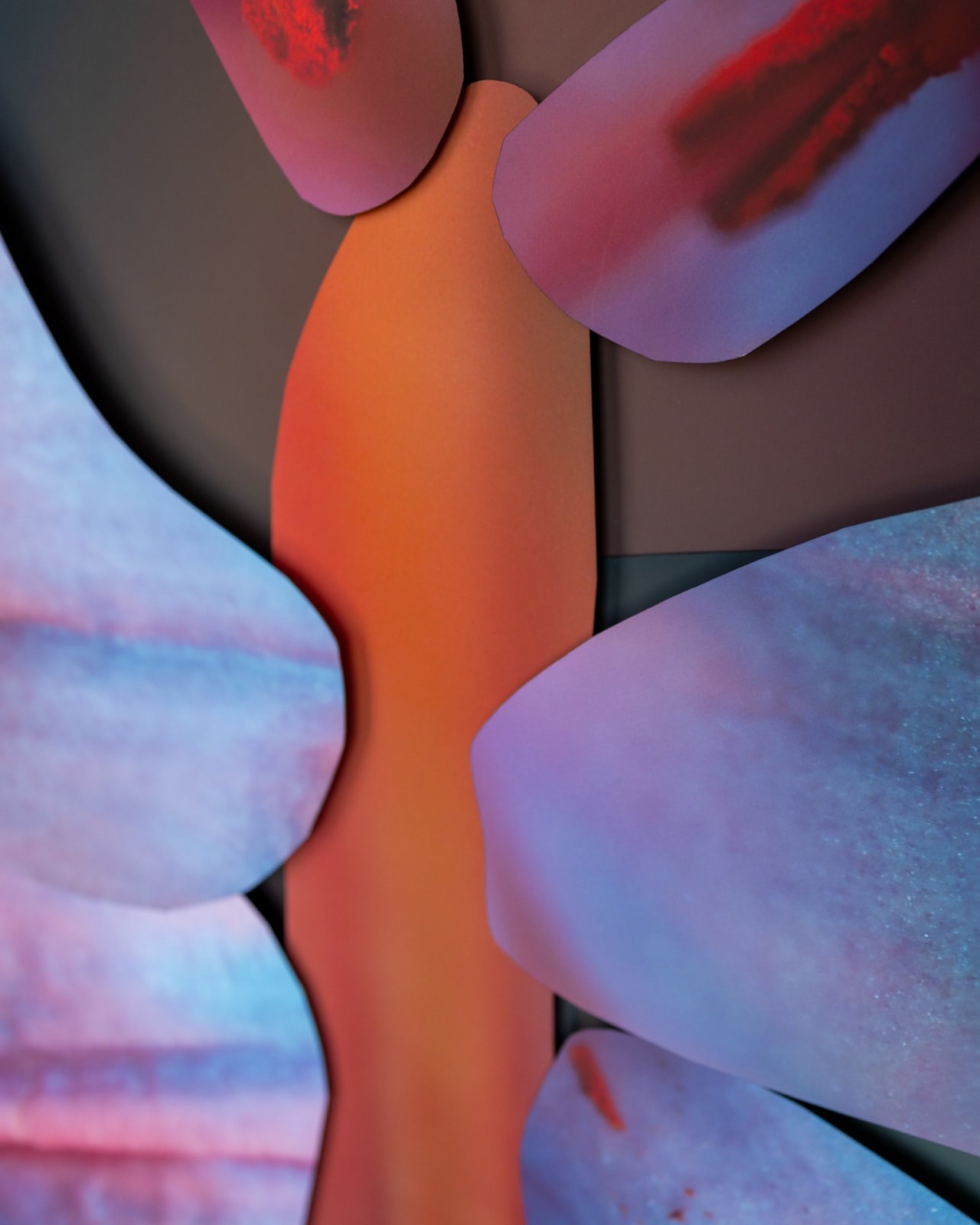 Maria Munar, Incandescent Gaze