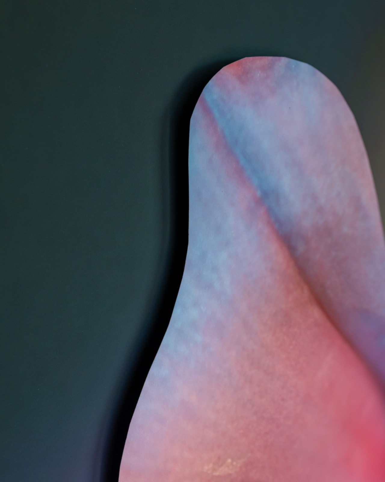 Maria Munar, Incandescent Pores