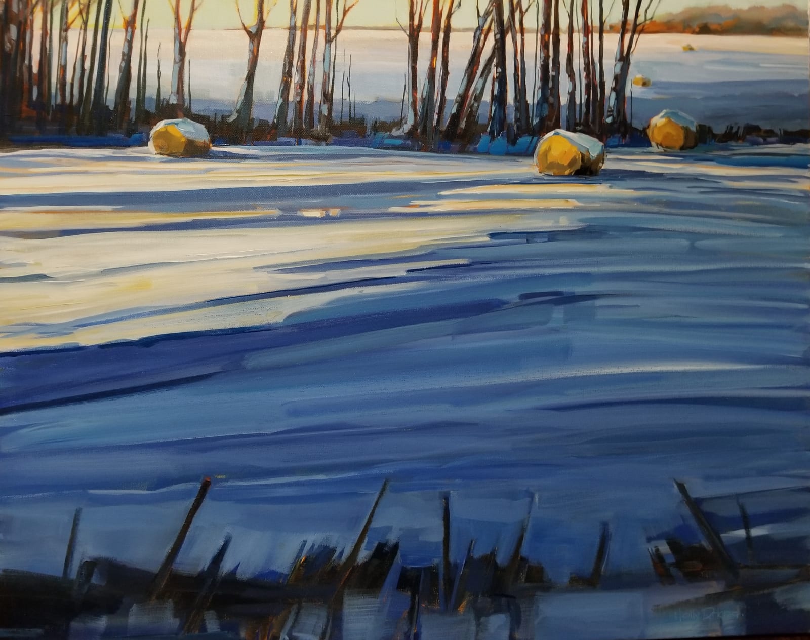Holly Dyrland, Caught in the Light