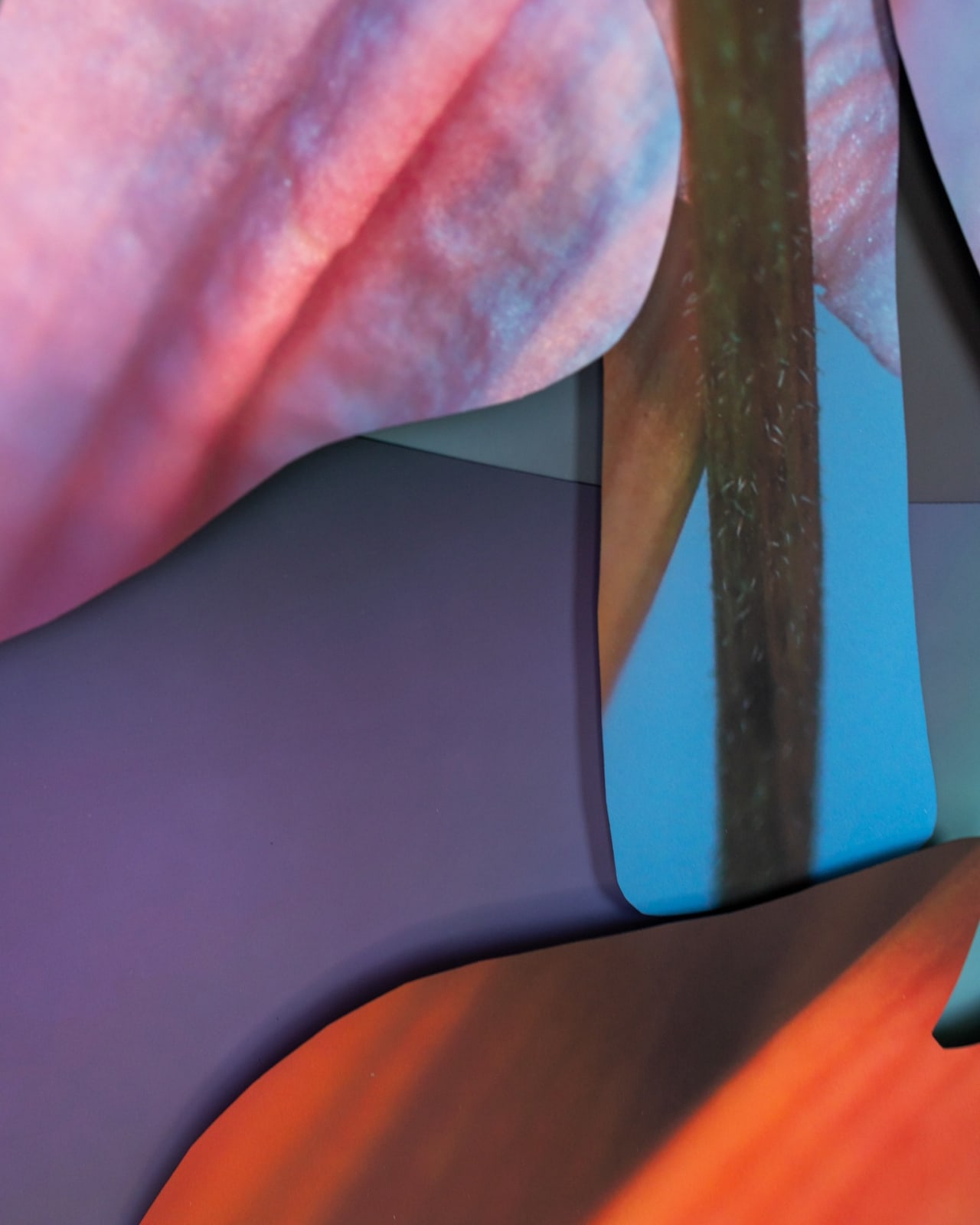 Maria Munar, Incandescent Pores