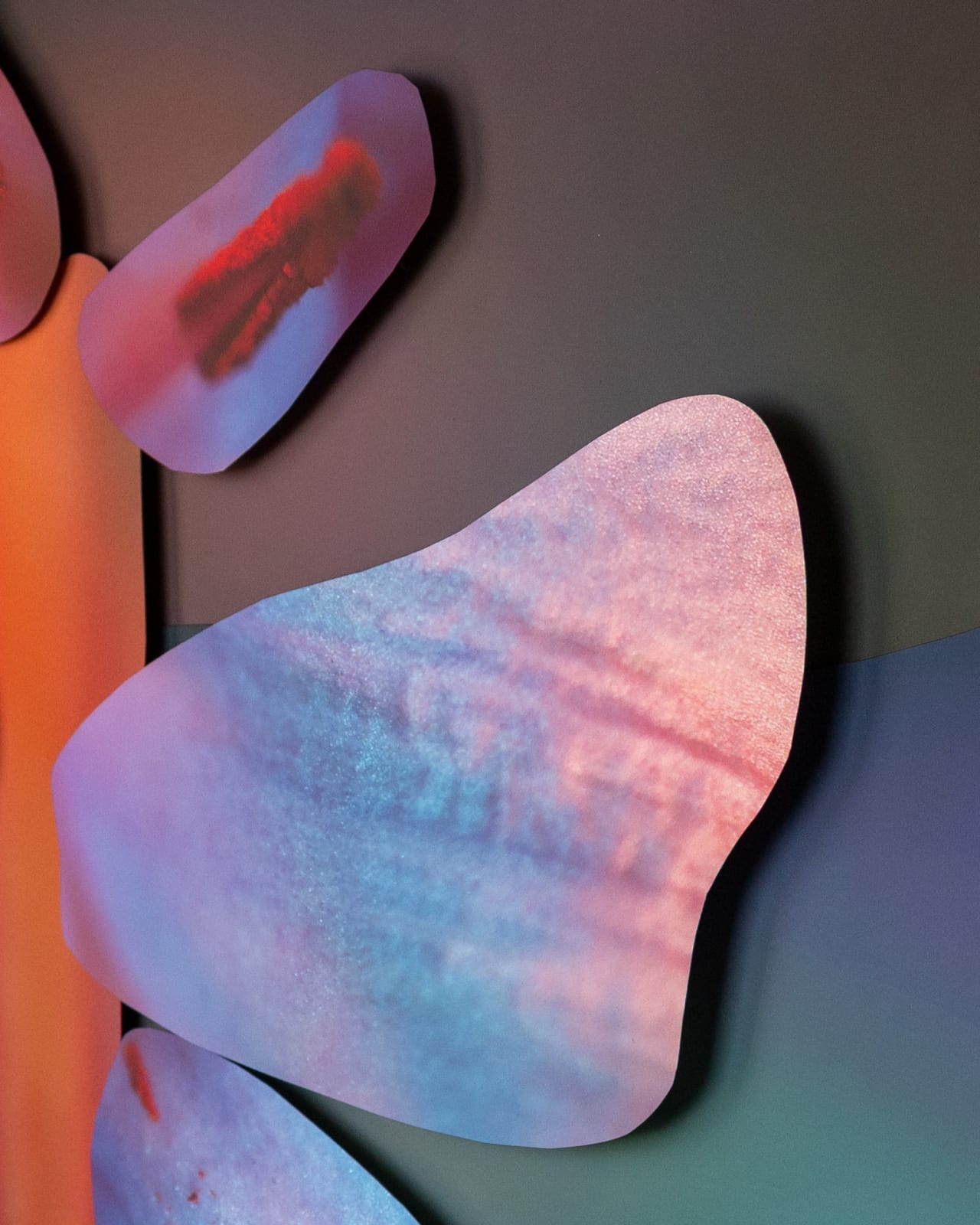 Maria Munar, Incandescent Gaze