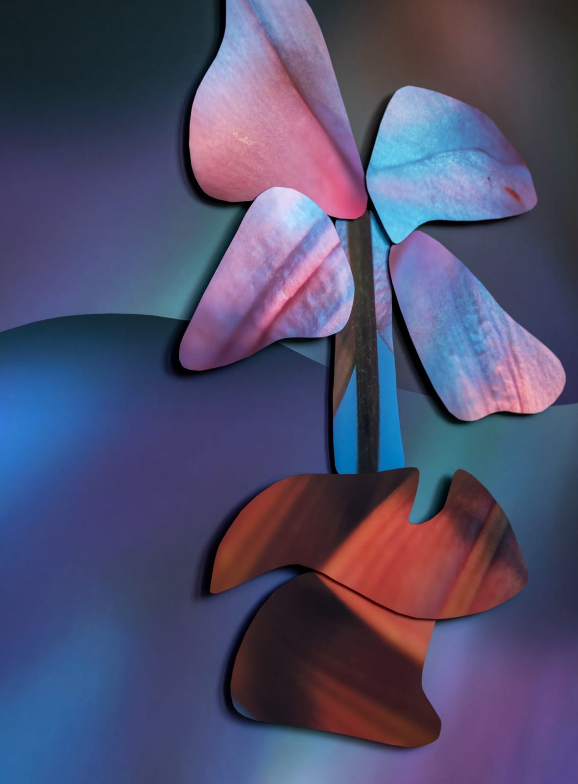 Maria Munar, Incandescent Pores