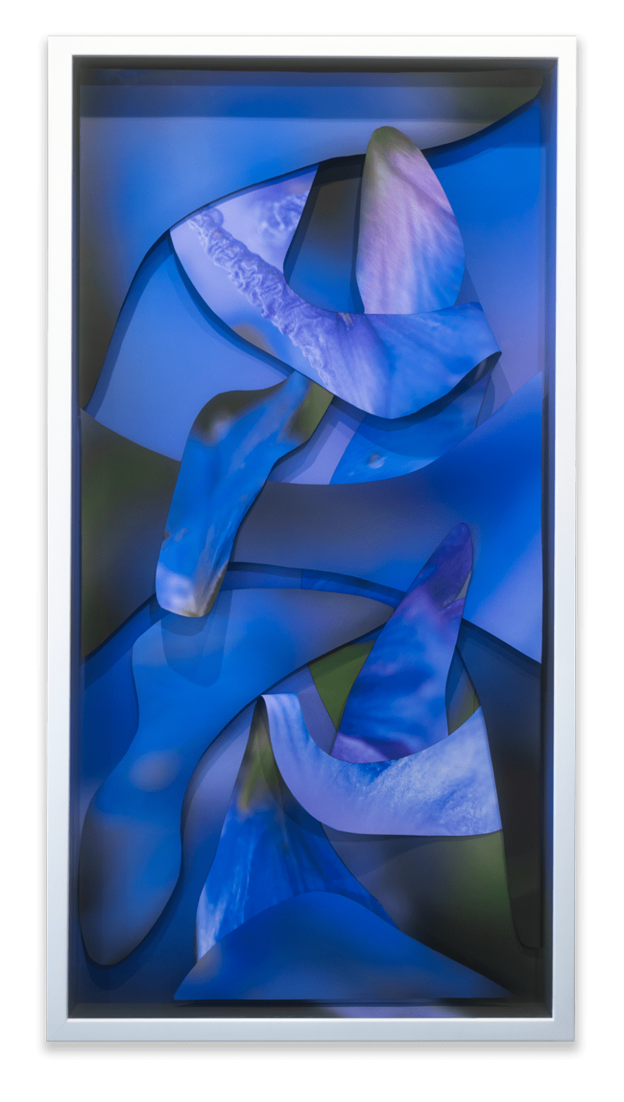 Maria Munar, Delphinium Protector
