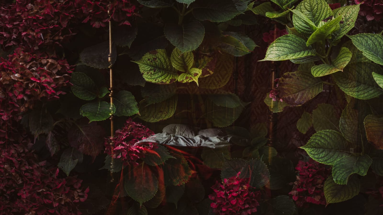 Joanna Johnston, The Shadows