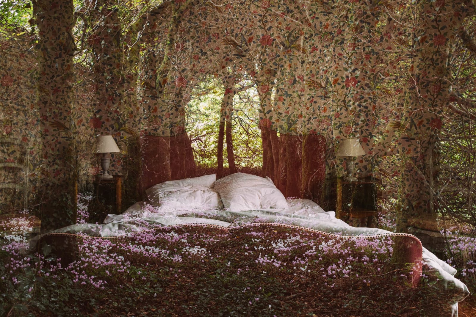 Joanna Johnston, The Hedges