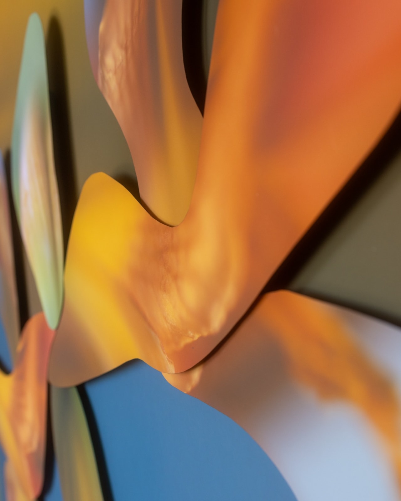 Maria Munar, LilyWander