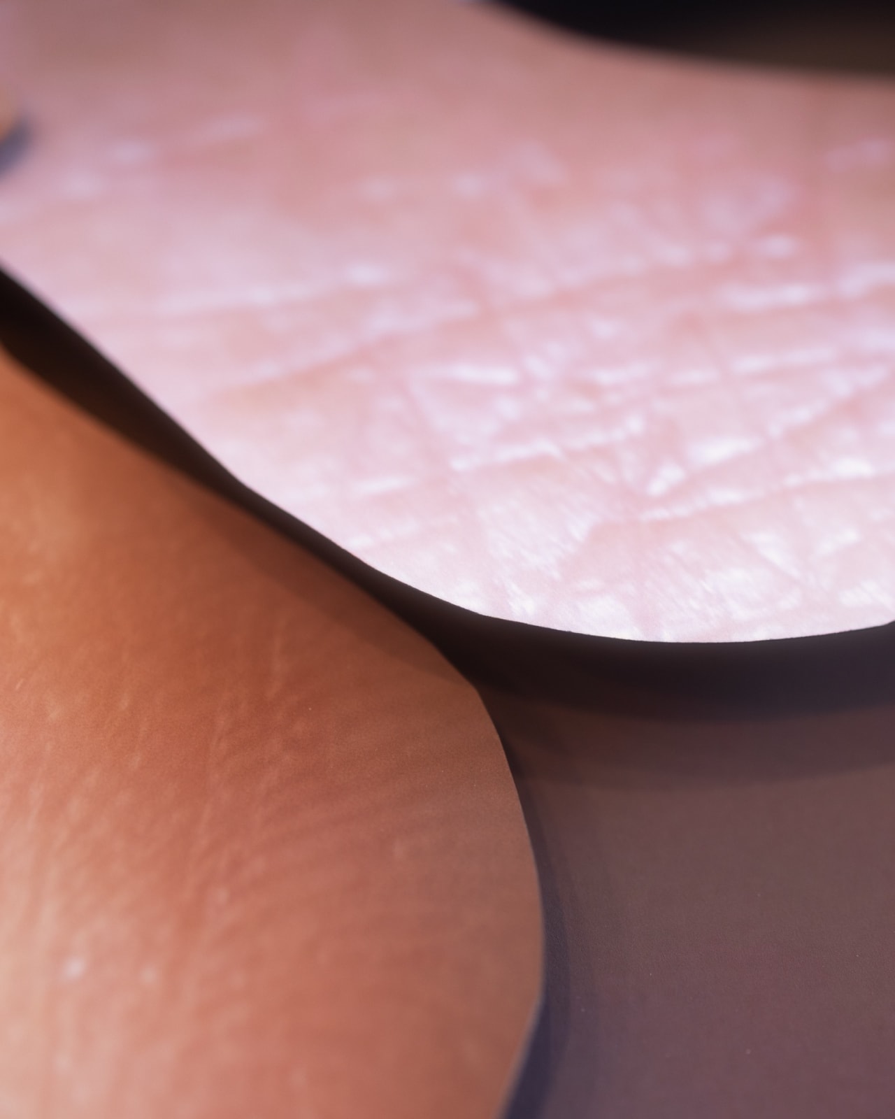 Maria Munar, Floranima Bouqet