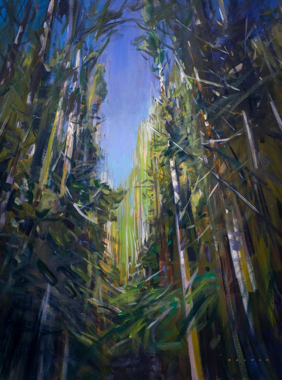 Charlie Easton, Pine Colours