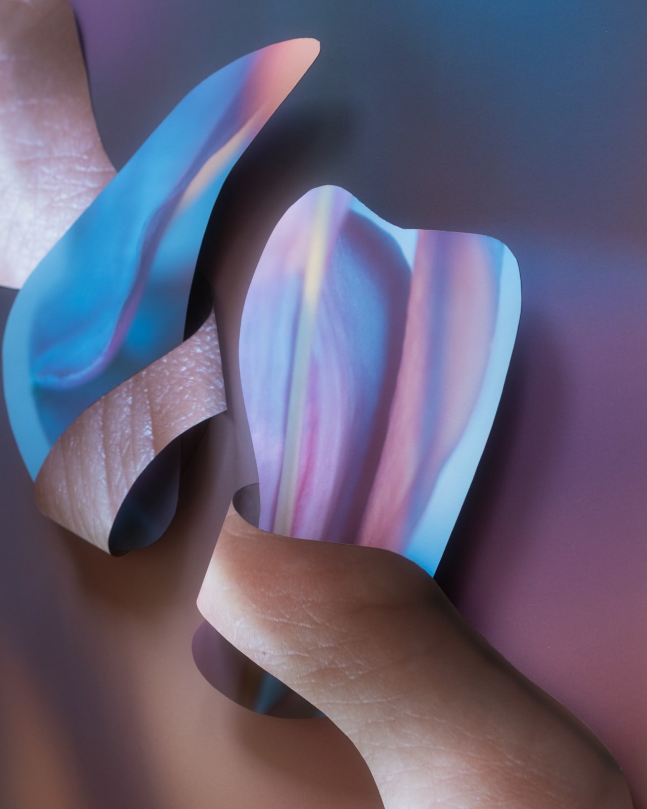 Maria Munar, Floranima