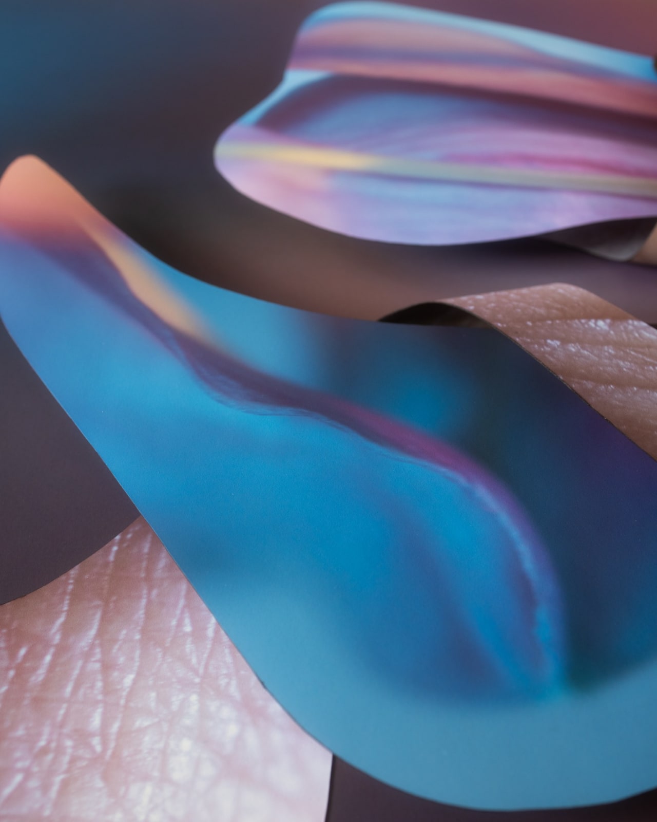 Maria Munar, Floranima