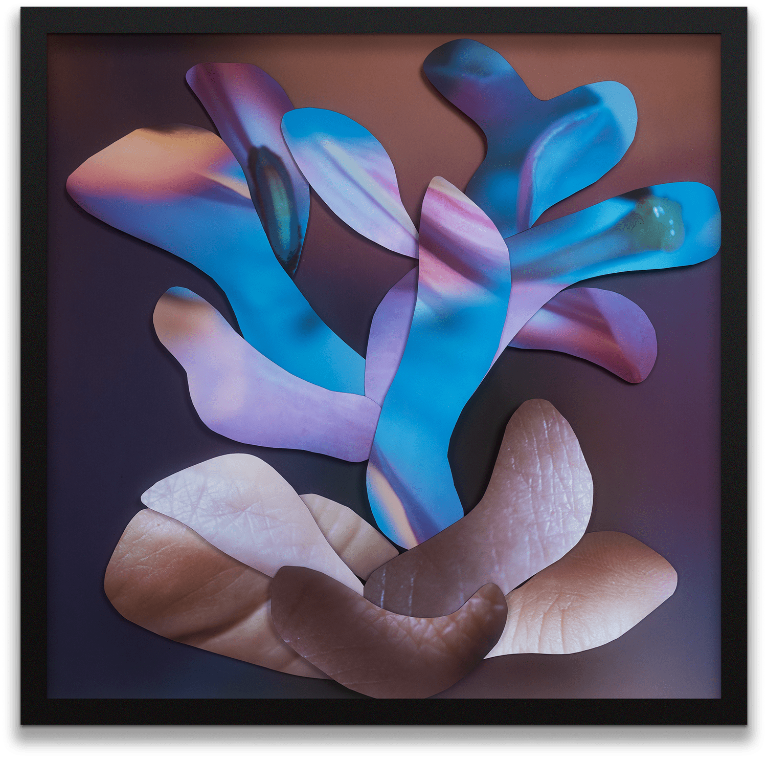 Maria Munar, Floranima Bouqet