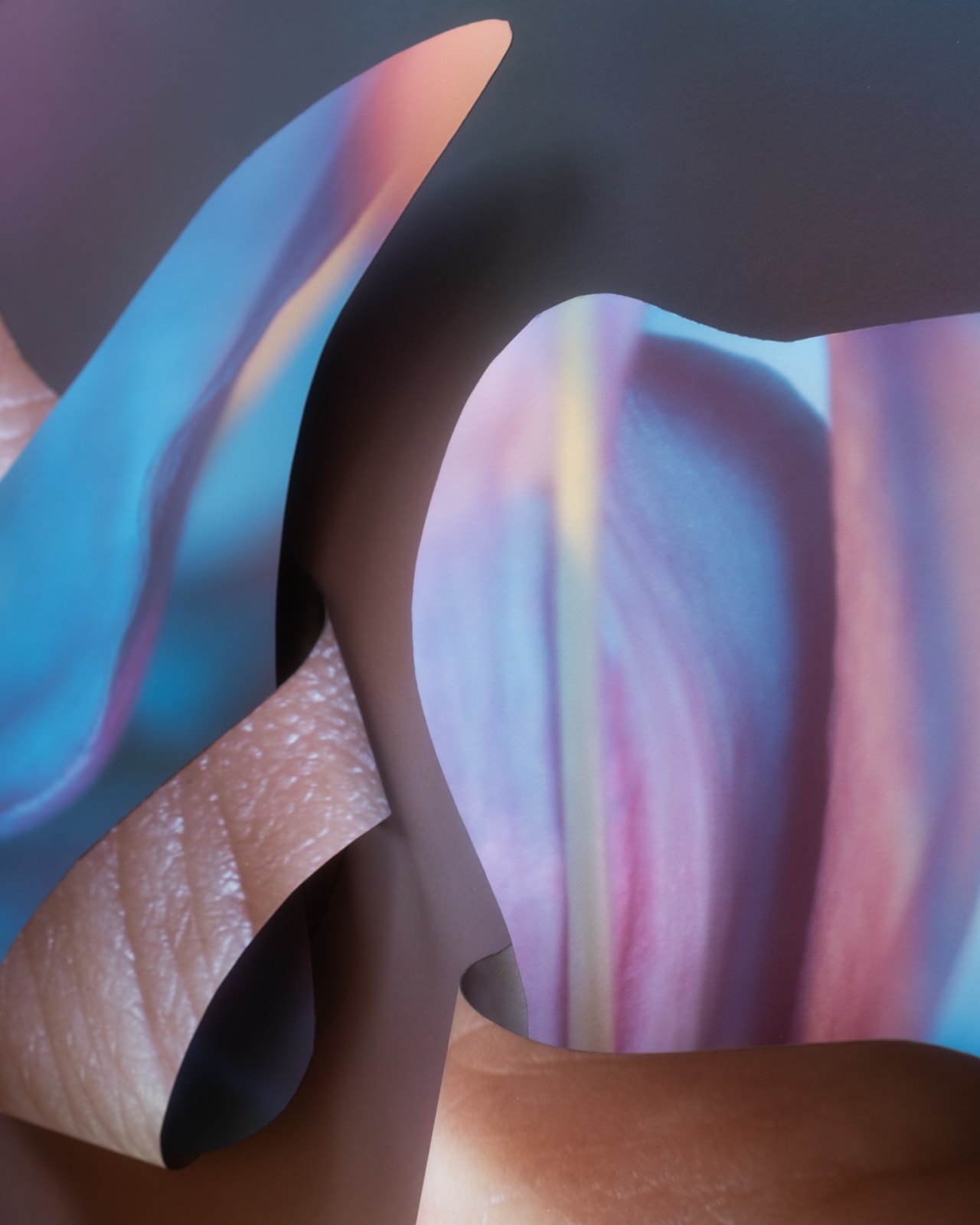 Maria Munar, Floranima