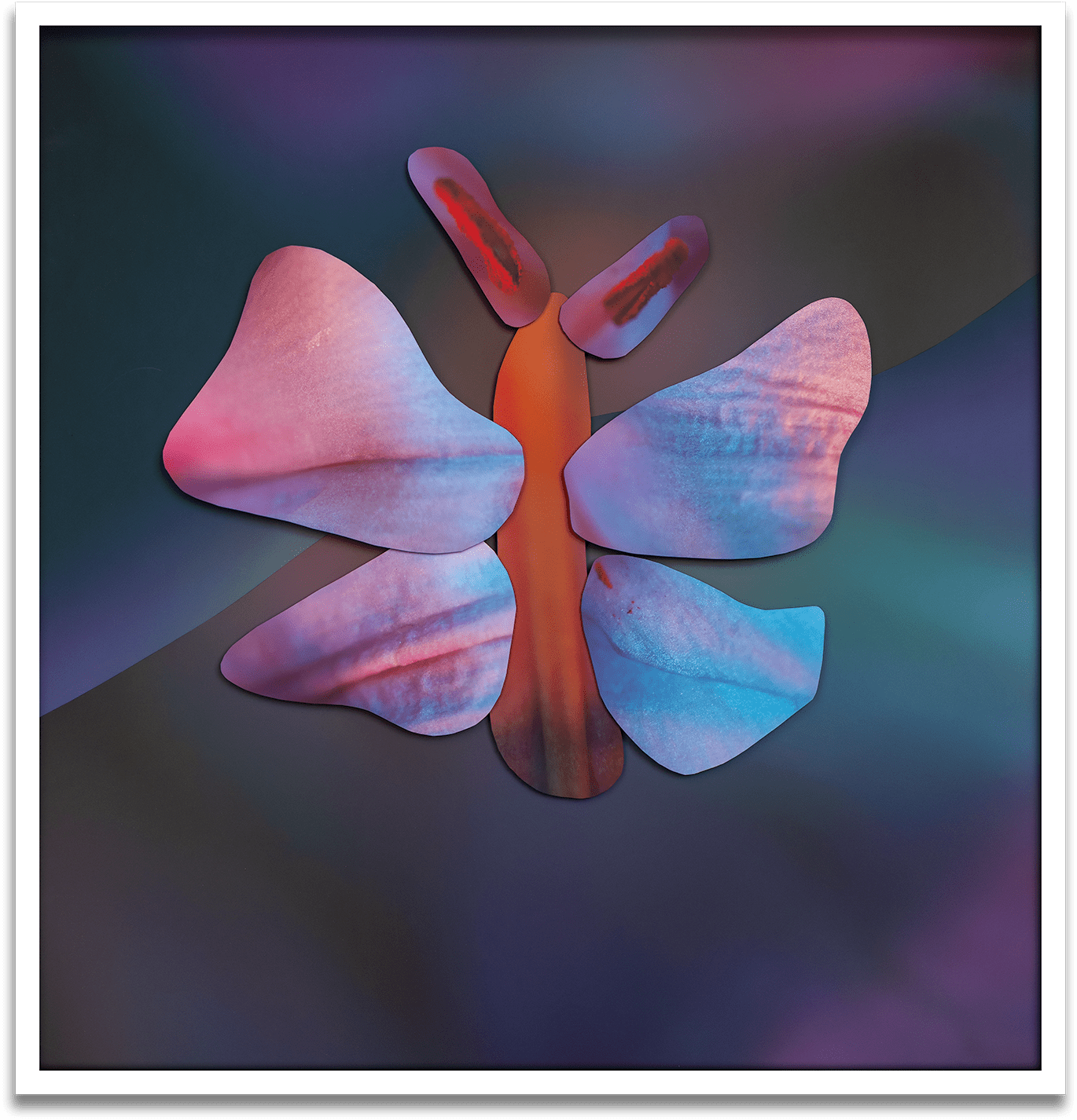 Maria Munar, Incandescent Gaze