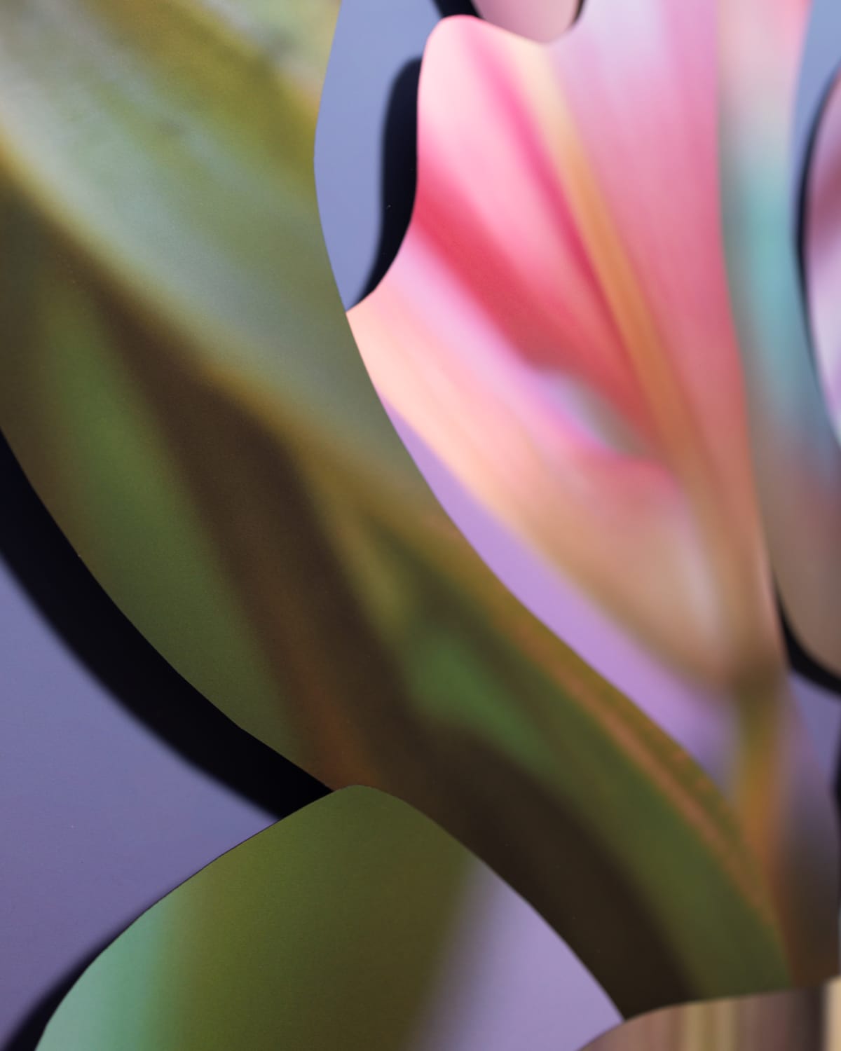 Maria Munar, Vase 3