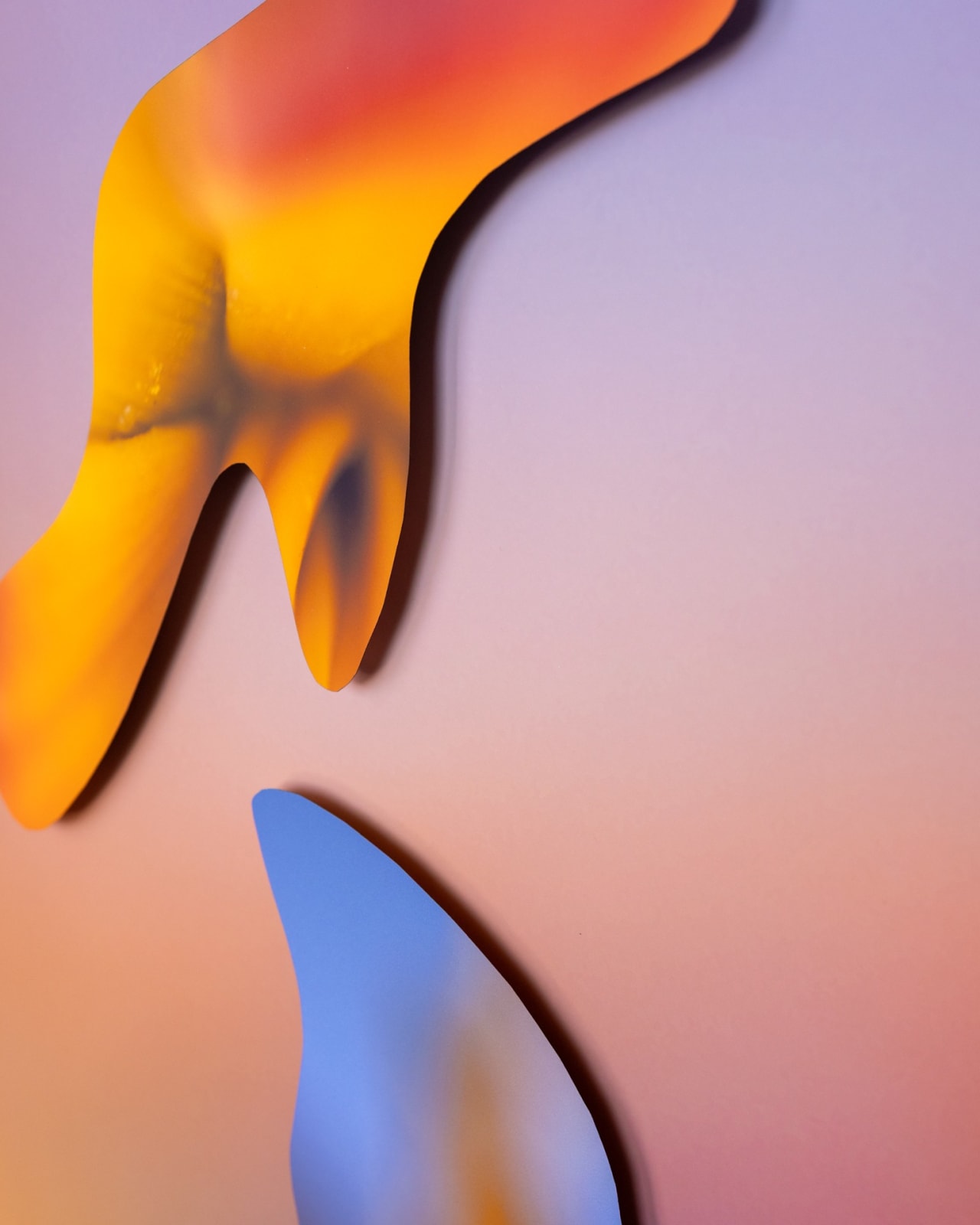 Maria Munar, Embodied Curves