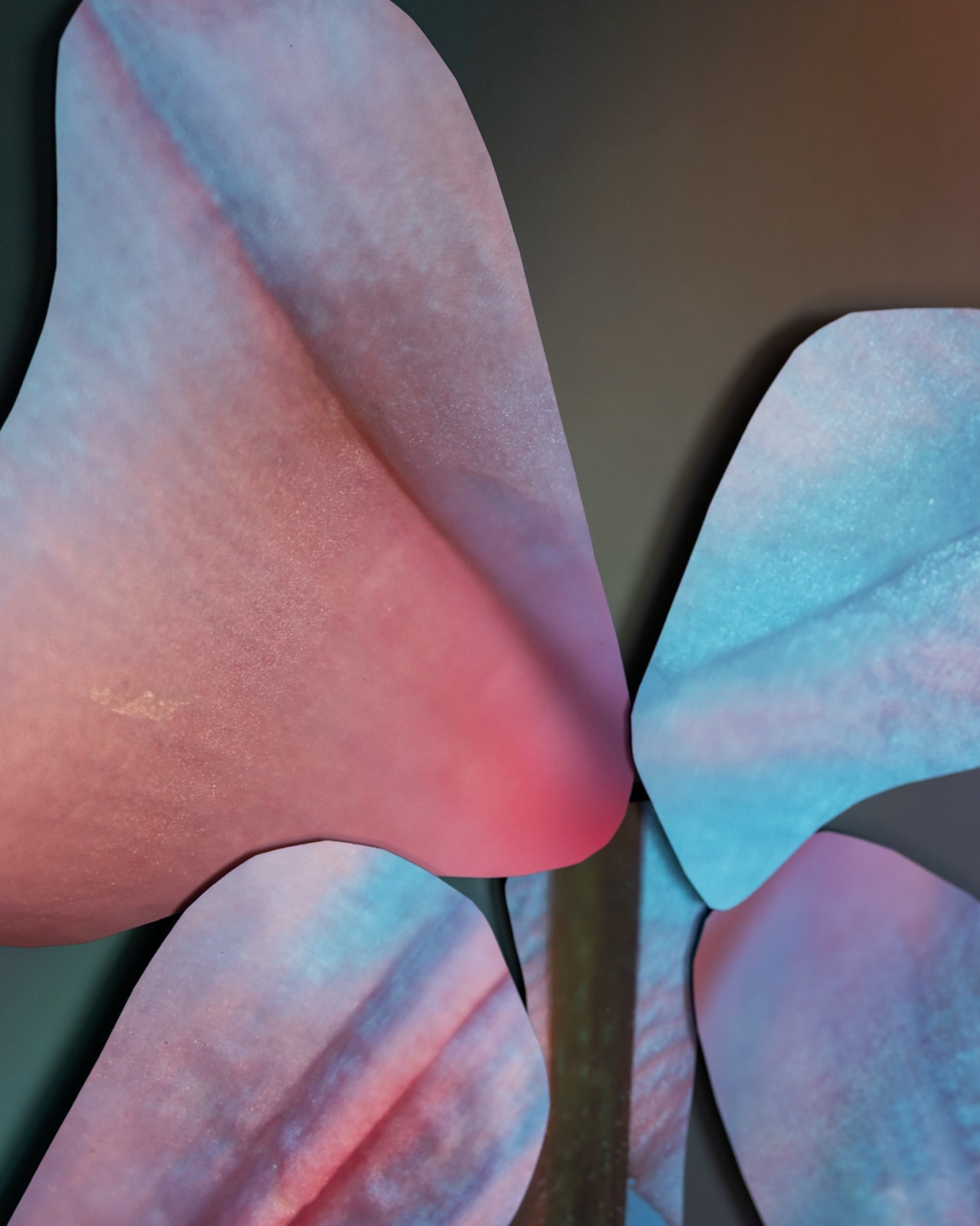 Maria Munar, Incandescent Pores