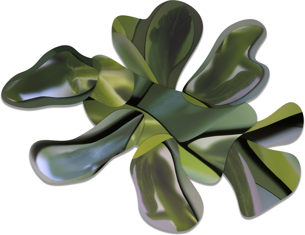 Maria Munar, LeafWalker