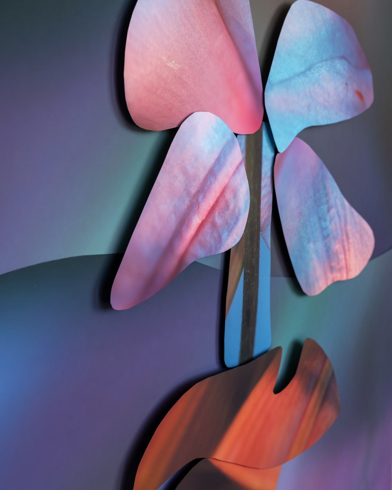 Maria Munar, Incandescent Pores