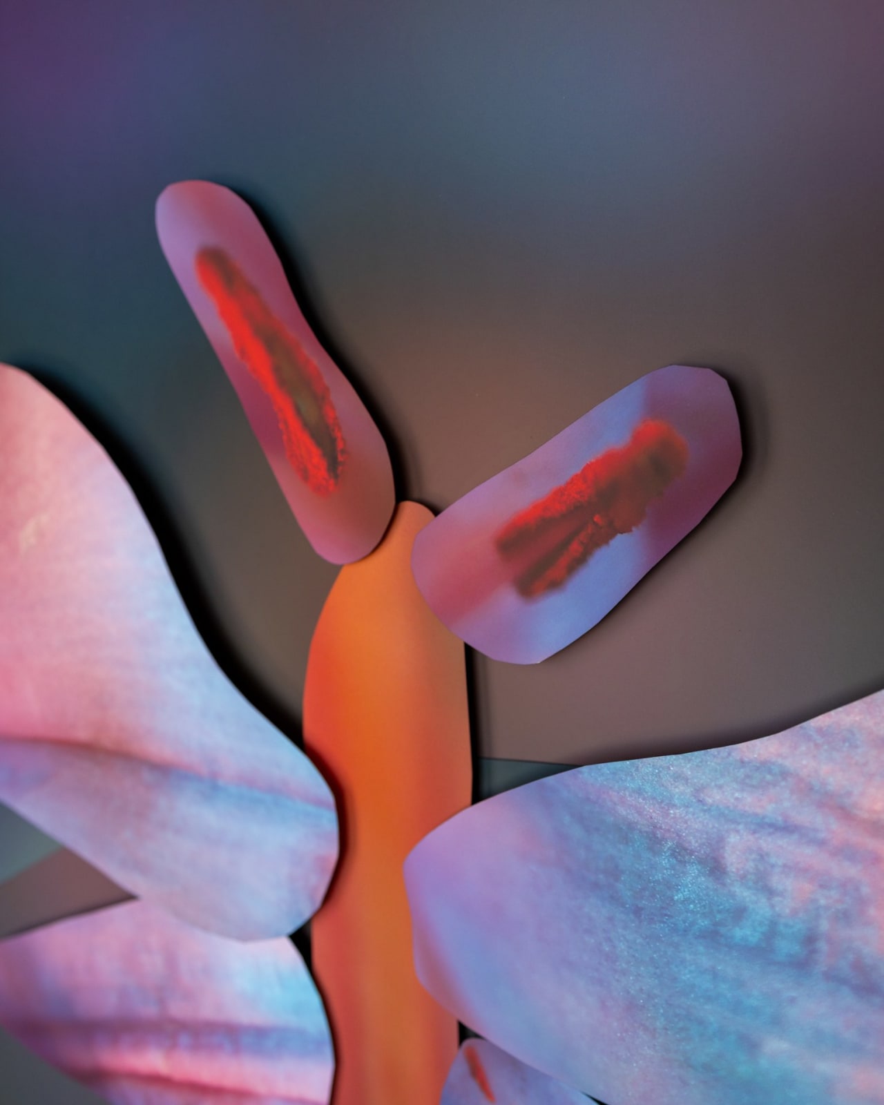 Maria Munar, Incandescent Gaze