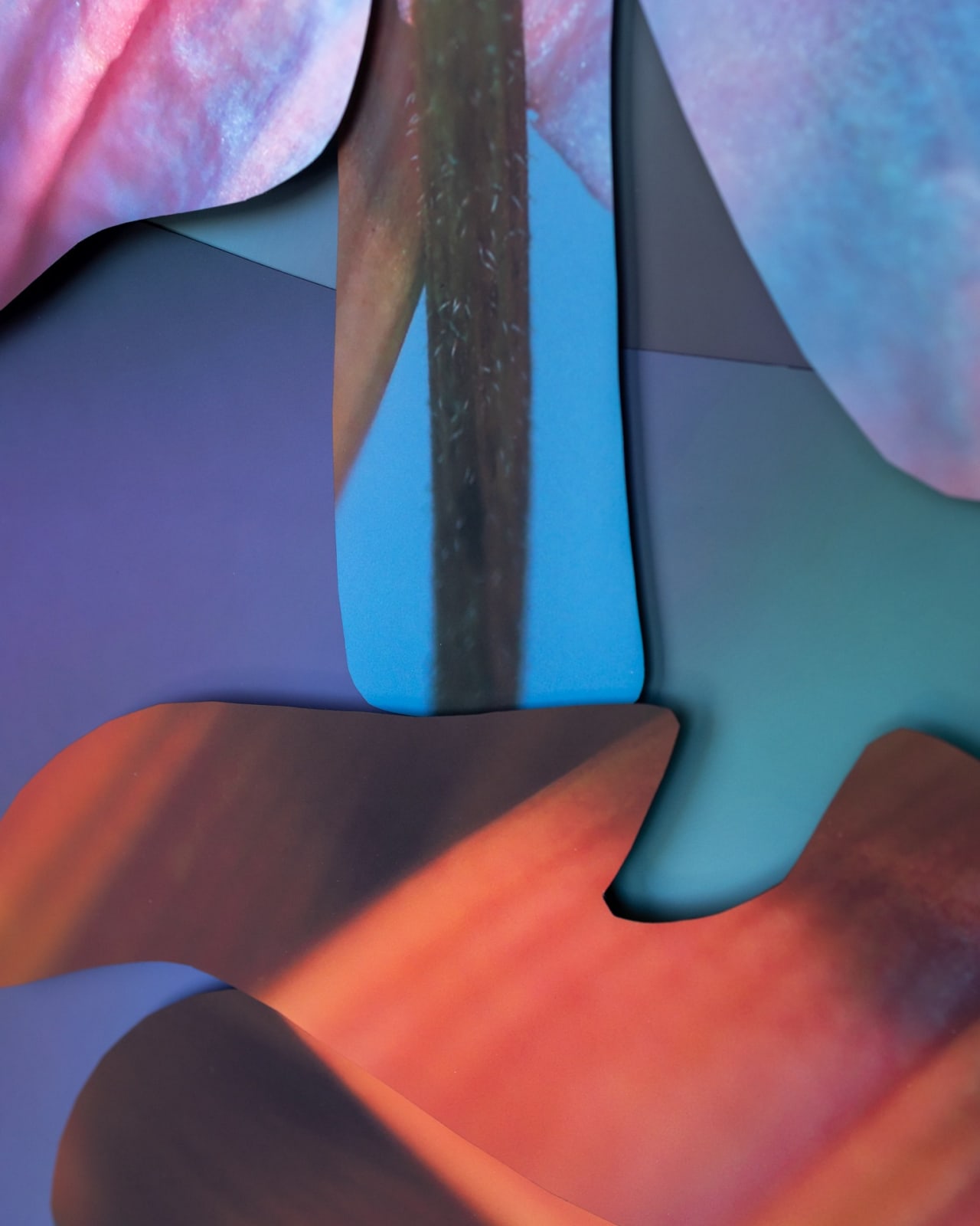 Maria Munar, Incandescent Pores