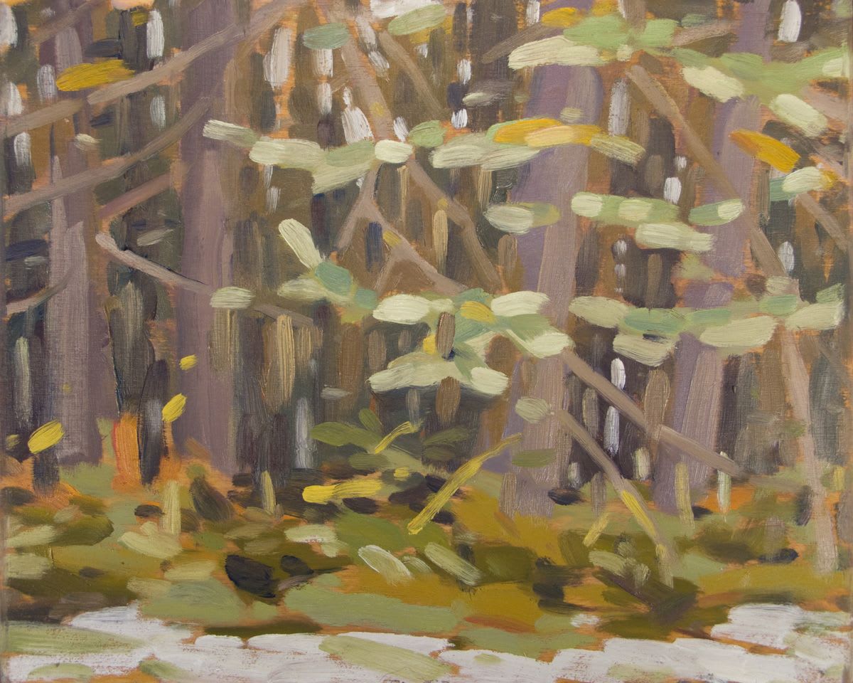 Mitchell Fenton, New Snowfall Lake O'Hara