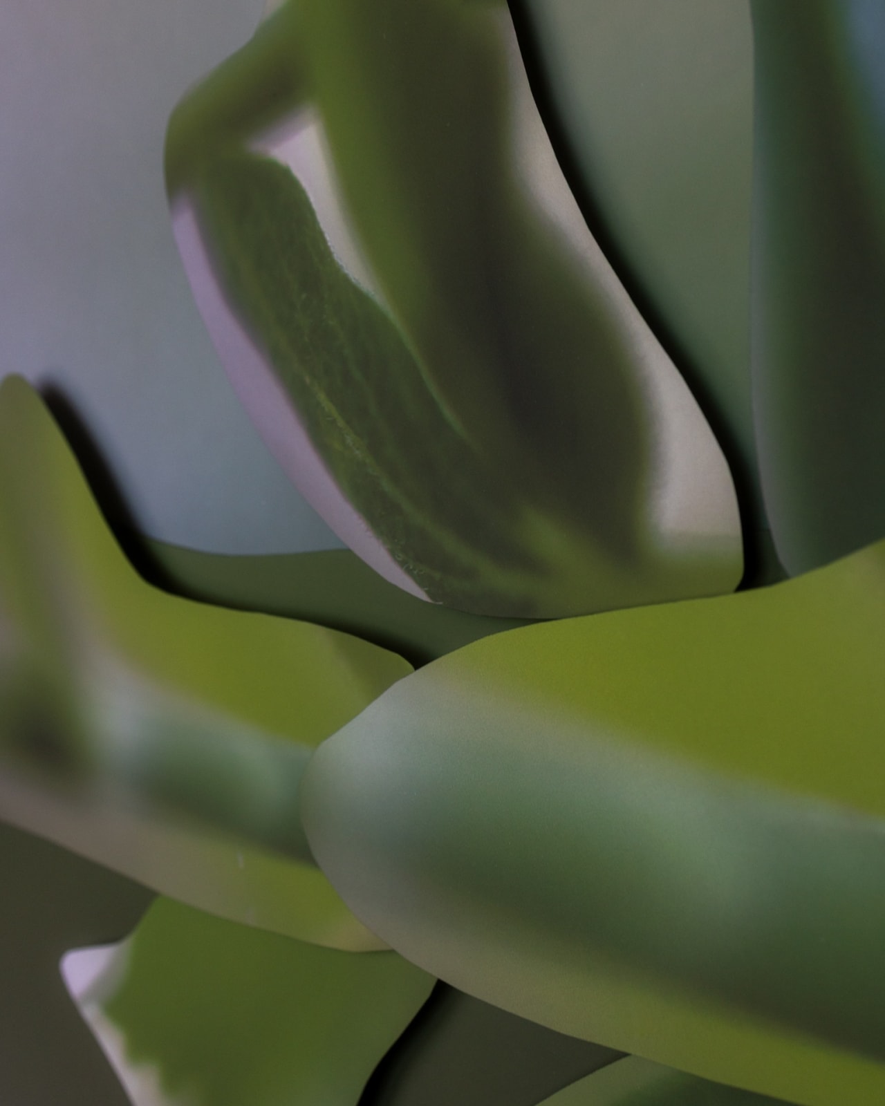 Maria Munar, LeafCrawler