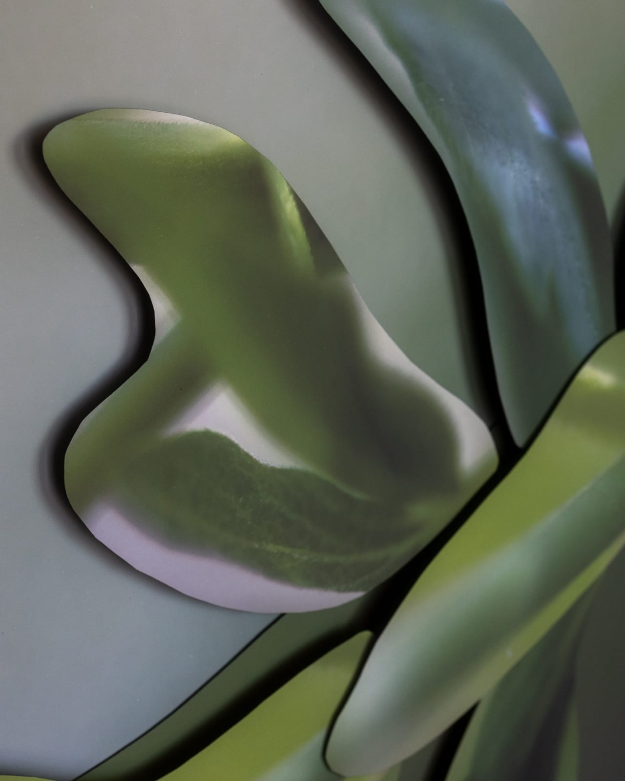 Maria Munar, LeafCrawler